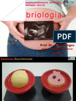 Modelos Embriologia Prática