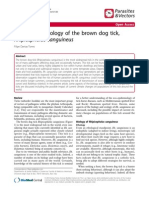 Biology and Ecology of the Brown Dog Tick