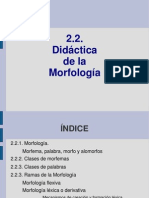 2_2_Morfología