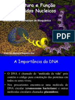 Ácidos Nucleicos - Aula 1