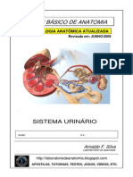 11125835 Apostila Anatomia Sistema Urinario