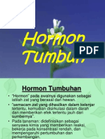 D3 Hormon Tumbuh