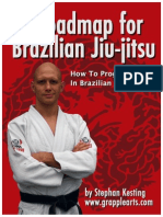 BJJ Roadmap 1.3