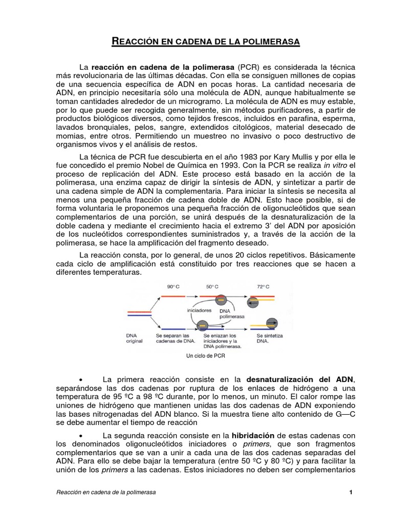 Reacción en Cadena de La Polimerasa Reacción en cadena de la