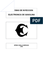 Inyeccion Electronica