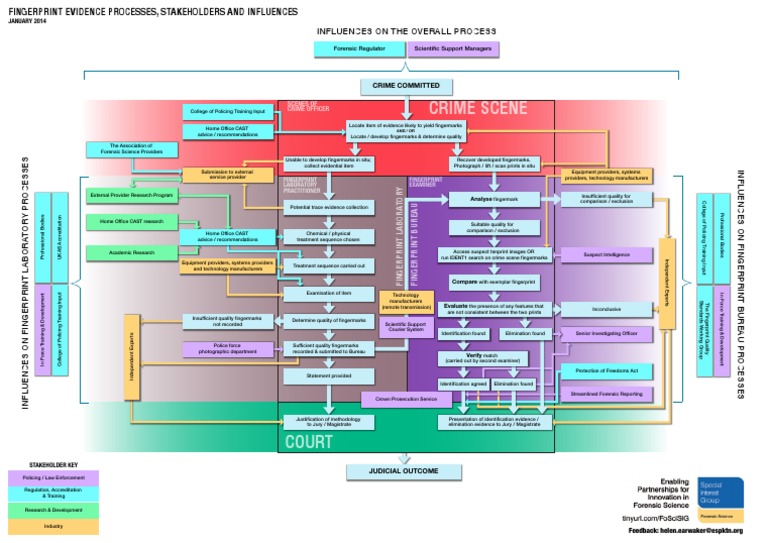 Fingerprint Evidence Processes Overview | PDF | Fingerprint | Forensic ...