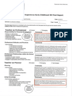 EDFX316 Professional Experience Final Report