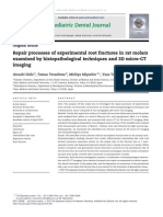 Repair Processes of Experimental Root Fractures in Rat Molars Examined by Histopathological Techniques and 3D Micro-CT Imaging