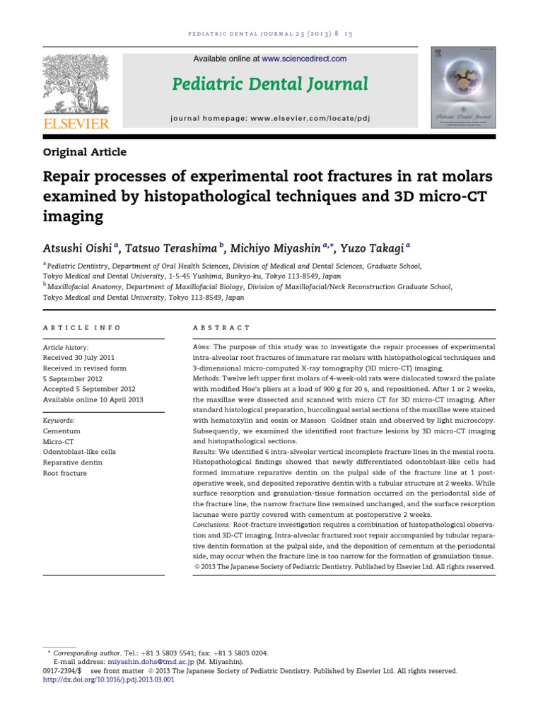 Repair Processes of Experimental Root Fractures in Rat Molars Examined ...