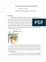 Bursitis Subacromial