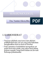 MAKROMOLEKUL Terbaru