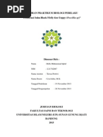 Download Laporan Praktikum Biologi Perilaku - Preferensi Suhu Ikan Guppy by Rifki Muhammad Iqbal SN221859121 doc pdf
