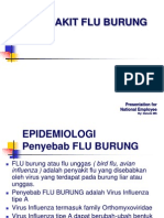 Flu Burung Presentation