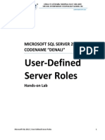 User Defined Server Roles PDF