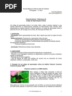 estrutura_texto-critico1