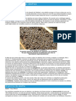 Abelhas - Ficha do Inseto - Como funcionam as abelhas.pdf
