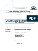 Perfil Del Proyecto IMPRIMIR