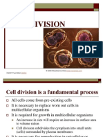 Cell Division: © 2006 Mesoblast Limited © 2007 Paul Billiet