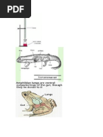 Download Hakikat Manusia menurut by tyarae SN22188442 doc pdf