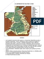 4. Depresiunea Transilvaniei