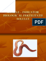 Rama Indicator Biologic Al Calitatii Solului