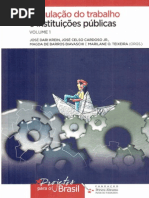 Dari Krein - Regulação Do Trabalho e Instituições Públicas (1)