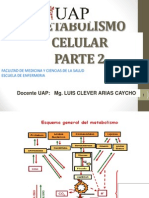 METABOLISM PARTE 2.ppt