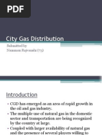 City Gas Distribution