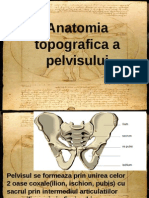 Anatomia Topografica A Pelvisului