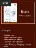 Download Enzimppt by Tri Hiu Amborowati SN22190555 doc pdf