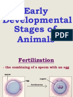 Early Developmental Stages of Animals