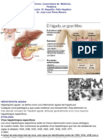 5o_Pediatria_Leccion_19_Hepatitis_._Fallo_hepatico_agudo