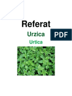 135822669-Urzica-Referat