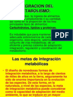 Integracion Del Metabolismo