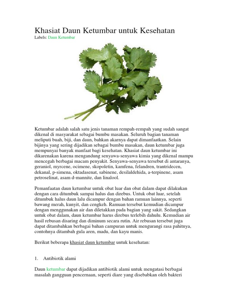 Khasiat Daun Ketumbar Untuk Kesehatan Pdf