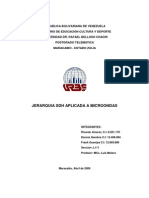 0 JerarquiaSDHAplicadaaMicroondas.pdf