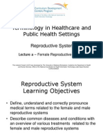 Terminology in Healthcare and Public Health Settings: Reproductive System