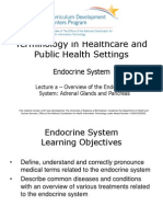 Terminology in Healthcare and Public Health Settings: Endocrine System
