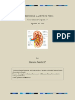 Ac25 Sist Renal