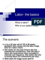 Labor-The Basics: What Is Labor? Who Is Our Patient Today?