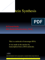 Protein Synthesis: M.Prasad Naidu MSC Medical Biochemistry, PH.D