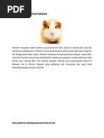 Download Pengenalan hamster by Solehah Roslan SN222002465 doc pdf