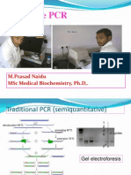 Real-Time-PCR