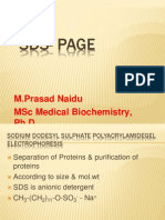 SDS-PAGE