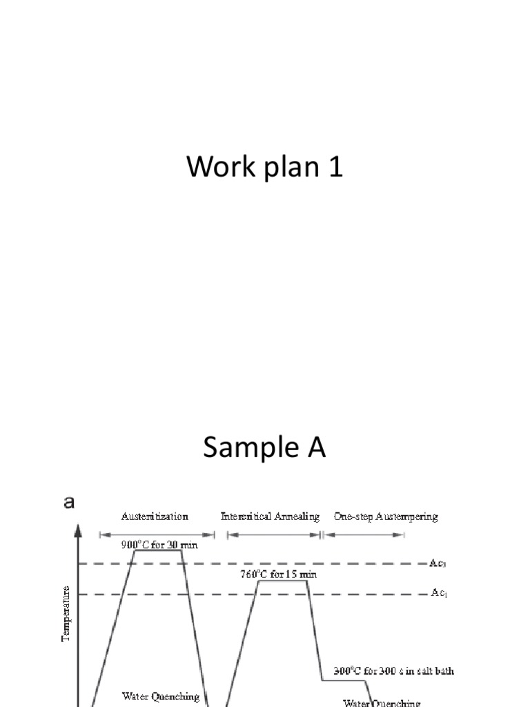 Work Plan1 | PDF