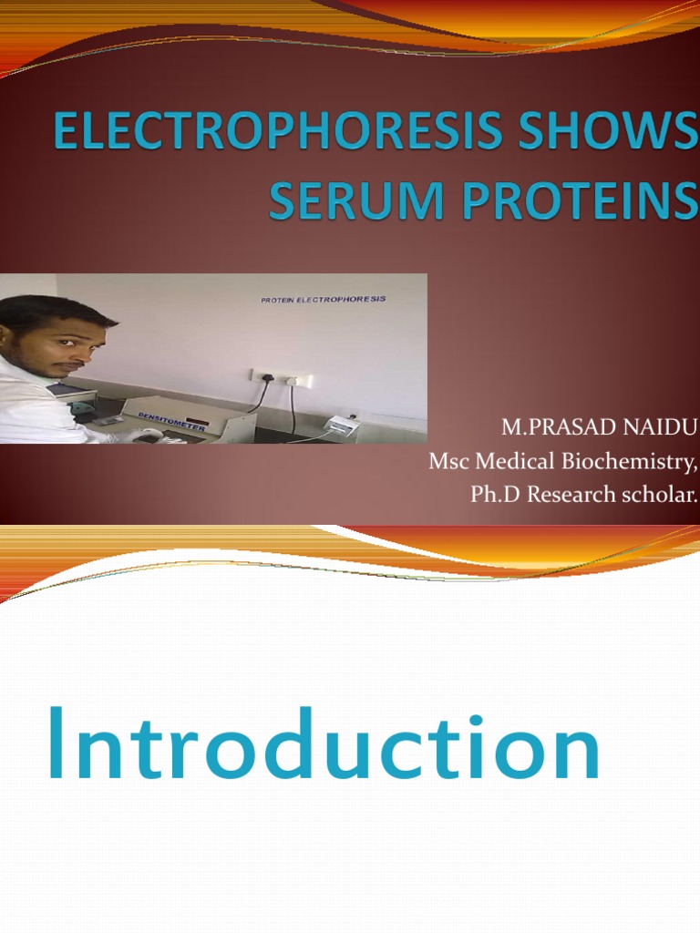 Serum Protein Electrophoresis & Their Clinical Importance PDF Gel Electrophoresis Agarose