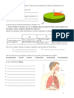 129565632 Ficha Avaliacao 6º Ano Ar e Sistema Respiratorio PDF