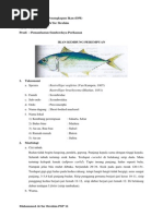 Download IKAN KEMBUNG by Muhammad Jafar Ibrahim SN222024630 doc pdf