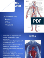 activitatea cardiaca