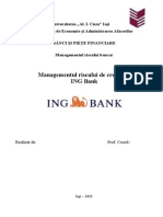 Managementul Riscului de Creditare La ING Bank